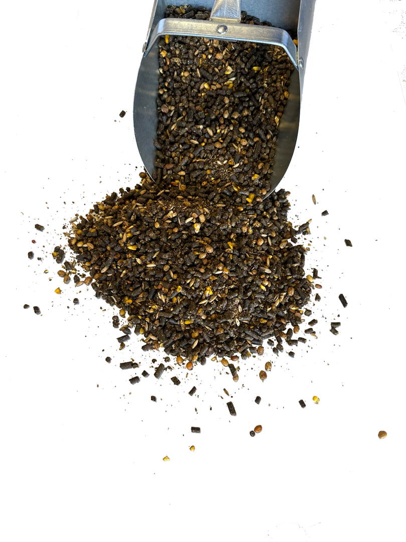 Kool Foal - 3 scoop no bg Kool Foal - 3 scoop no bg