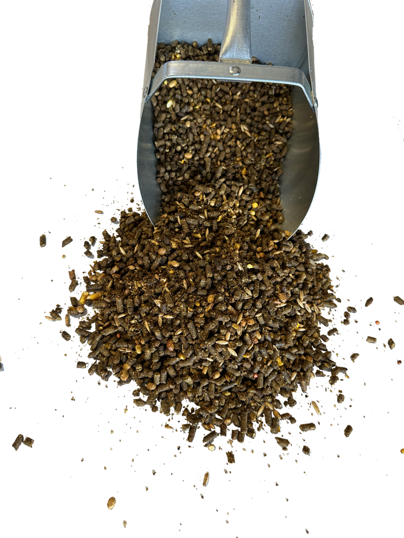 Kool Speed - 3 No BG Scoop Kool Speed - 3 No BG Scoop