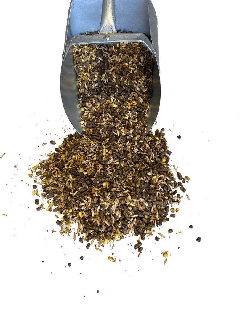 Speed Feed - scoop no bg Speed Feed - scoop no bg