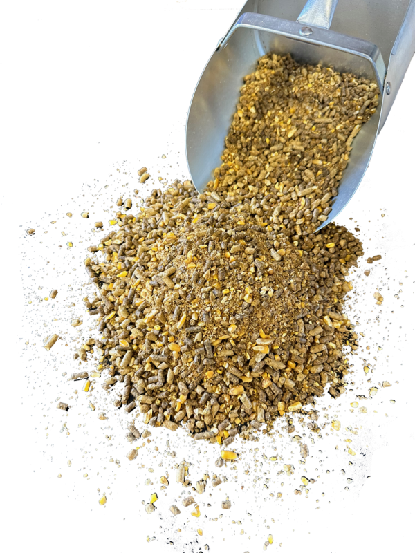 20 Percent Cow Calf - 3